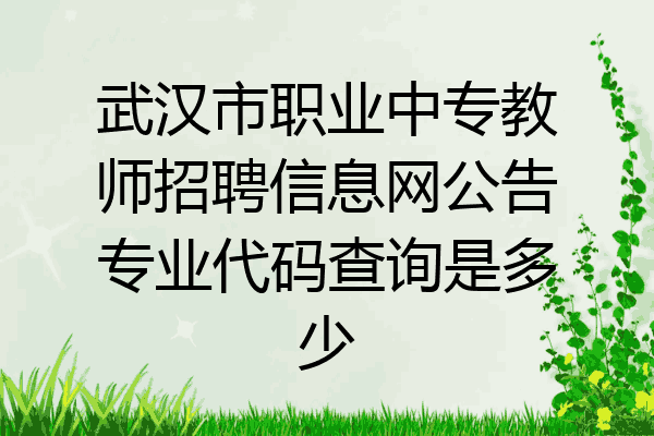 武汉市职业中专教师招聘信息网公告专业代码查询是多少