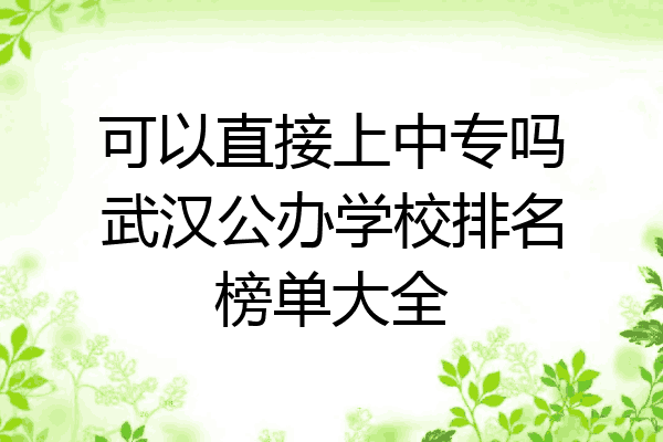 可以直接上中专吗武汉公办学校排名榜单大全