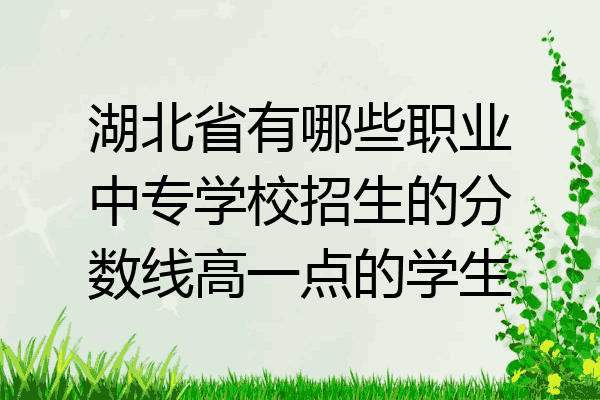 湖北省有哪些职业中专学校招生的分数线高一点的学生