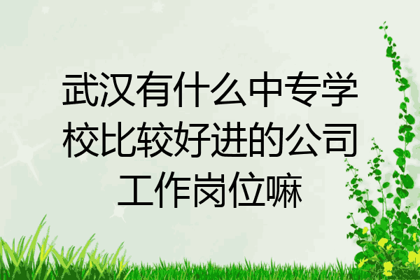 武汉有什么中专学校比较好进的公司工作岗位嘛