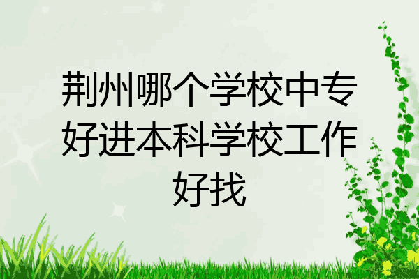 荆州哪个学校中专好进本科学校工作好找