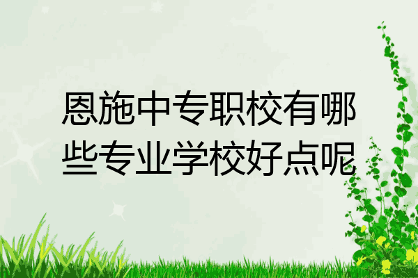 恩施中专职校有哪些专业学校好点呢