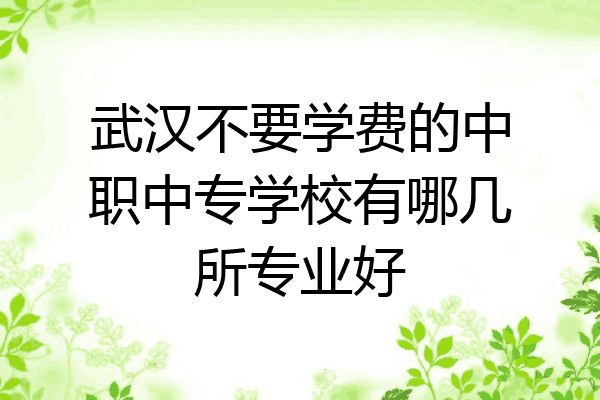 武汉不要学费的中职中专学校有哪几所专业好