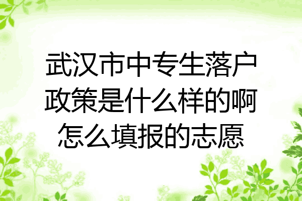 武汉市中专生落户政策是什么样的啊怎么填报的志愿