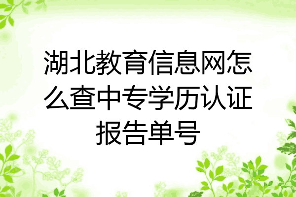 湖北教育信息网怎么查中专学历认证报告单号