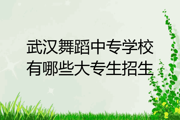 武汉舞蹈中专学校有哪些大专生招生