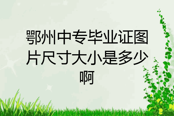 鄂州中专毕业证图片尺寸大小是多少啊