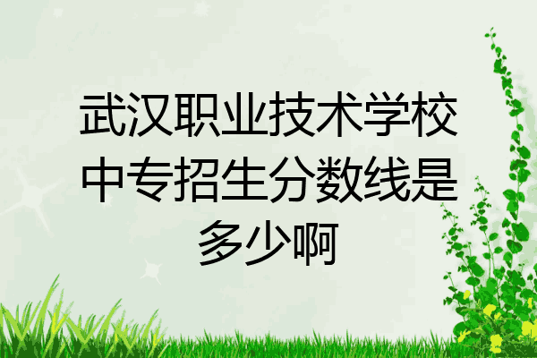 武汉职业技术学校中专招生分数线是多少啊