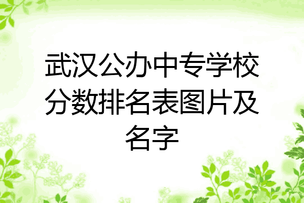 武汉公办中专学校分数排名表图片及名字