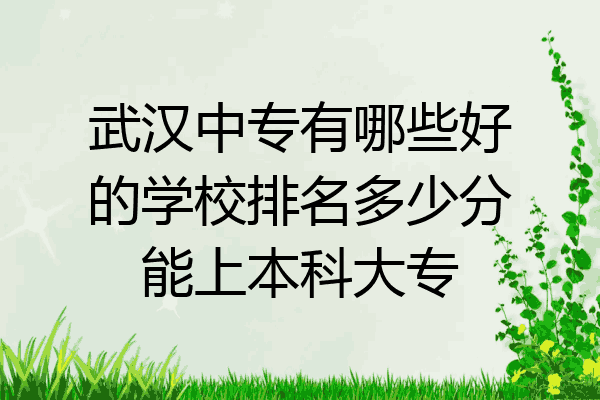 武汉中专有哪些好的学校排名多少分能上本科大专