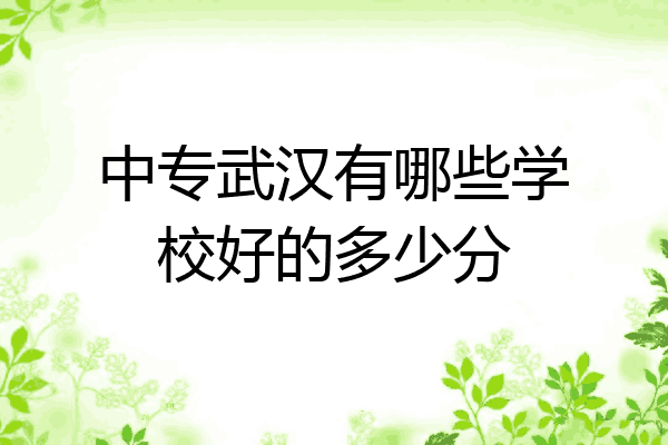中专武汉有哪些学校好的多少分