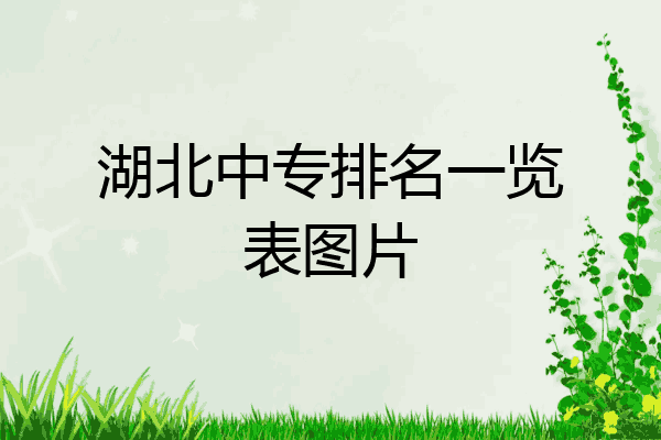 湖北中专排名一览表图片