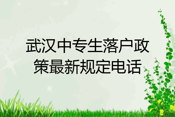 武汉中专生落户政策最新规定电话