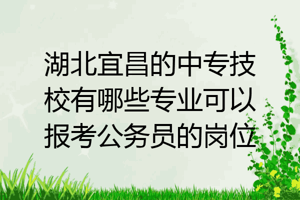 湖北宜昌的中专技校有哪些专业可以报考公务员的岗位