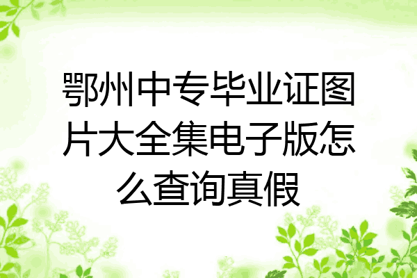 鄂州中专毕业证图片大全集电子版怎么查询真假