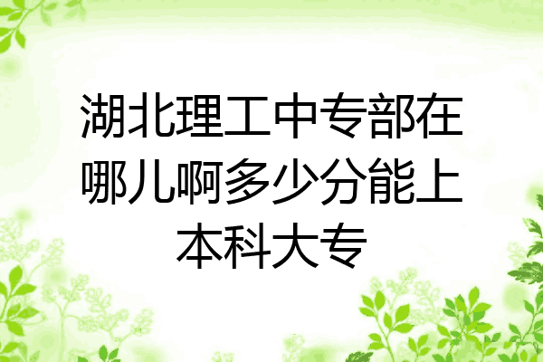 湖北理工中专部在哪儿啊多少分能上本科大专