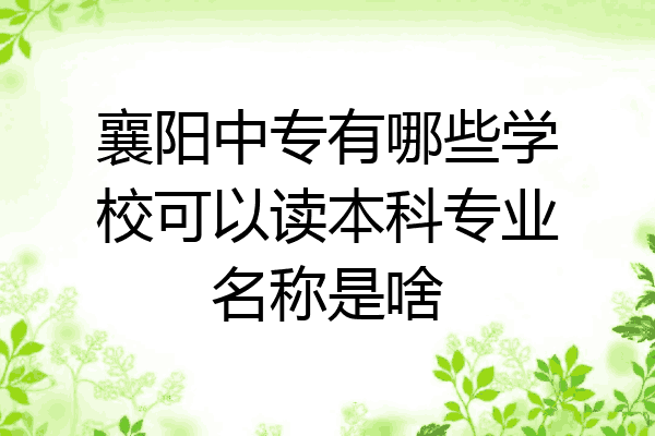 襄阳中专有哪些学校可以读本科专业名称是啥