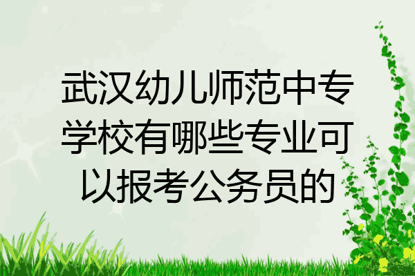武汉幼儿师范中专学校有哪些专业可以报考公务员的