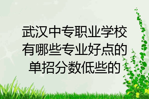 武汉中专职业学校有哪些专业好点的单招分数低些的