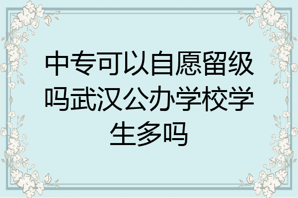 中专可以自愿留级吗武汉公办学校学生多吗