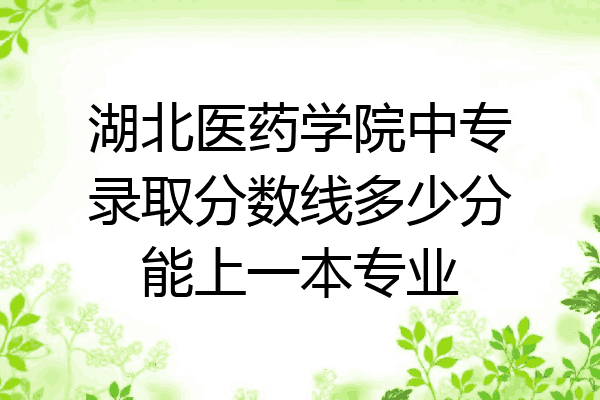 湖北医药学院中专录取分数线多少分能上一本专业