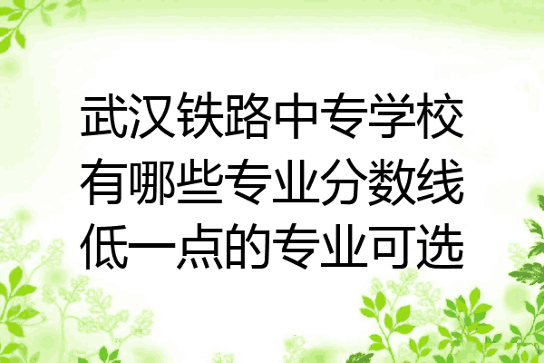 武汉铁路中专学校有哪些专业分数线低一点的专业可选