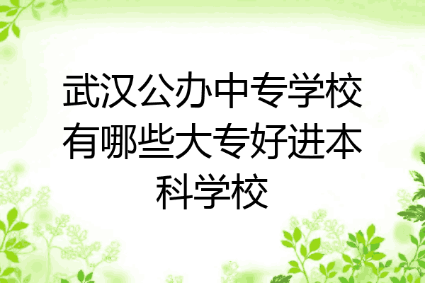 武汉公办中专学校有哪些大专好进本科学校