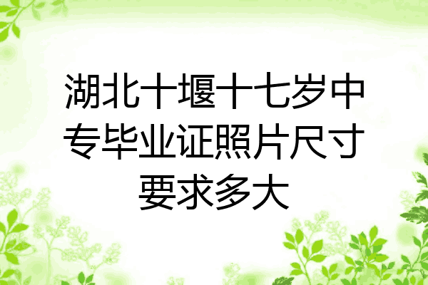 湖北十堰十七岁中专毕业证照片尺寸要求多大