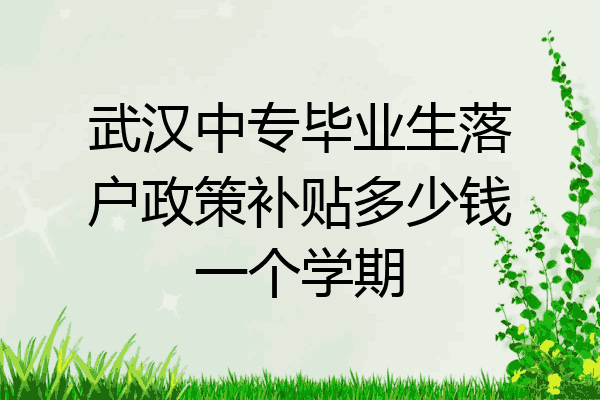 武汉中专毕业生落户政策补贴多少钱一个学期