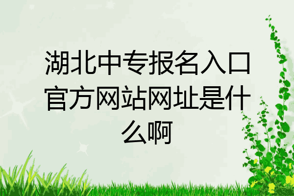 湖北中专报名入口官方网站网址是什么啊