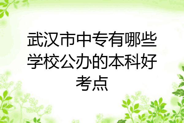武汉市中专有哪些学校公办的本科好考点