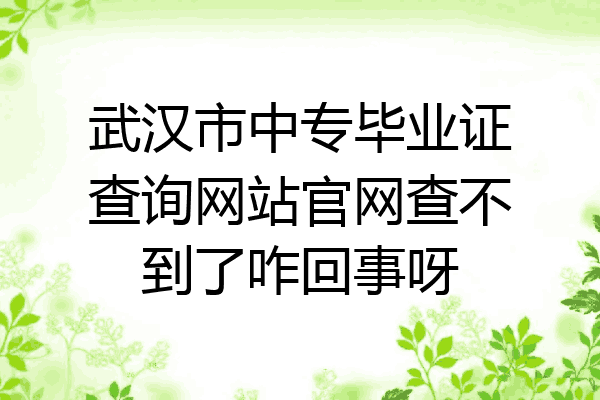 武汉市中专毕业证查询网站官网查不到了咋回事呀