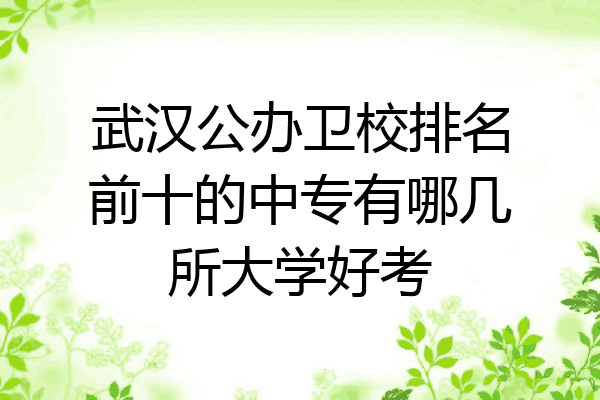 武汉公办卫校排名前十的中专有哪几所大学好考