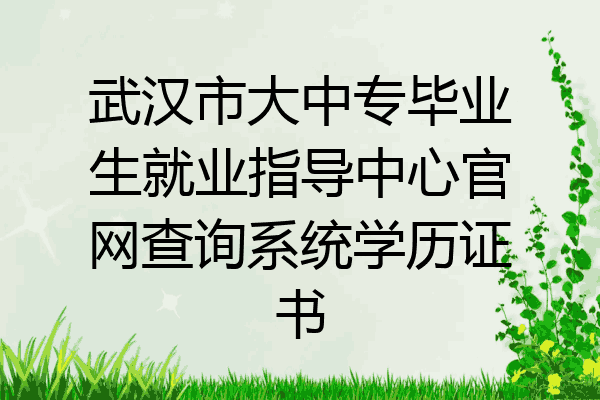 武汉市大中专毕业生就业指导中心官网查询系统学历证书