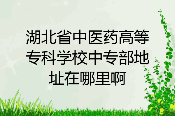 湖北省中医药高等专科学校中专部地址在哪里啊