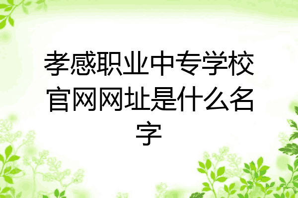 孝感职业中专学校官网网址是什么名字