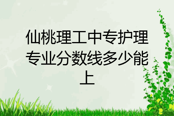 仙桃理工中专护理专业分数线多少能上