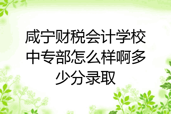 咸宁财税会计学校中专部怎么样啊多少分录取
