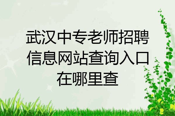 武汉中专老师招聘信息网站查询入口在哪里查