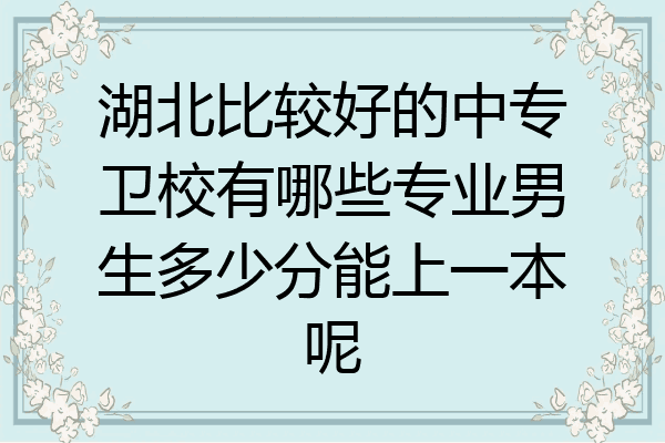 湖北比较好的中专卫校有哪些专业男生多少分能上一本呢