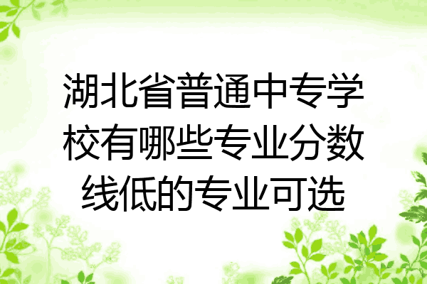 湖北省普通中专学校有哪些专业分数线低的专业可选