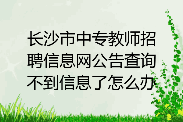 长沙市中专教师招聘信息网公告查询不到信息了怎么办