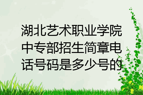 湖北艺术职业学院中专部招生简章电话号码是多少号的