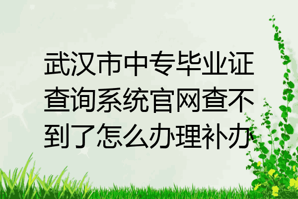 武汉市中专毕业证查询系统官网查不到了怎么办理补办