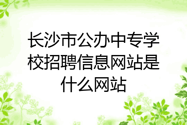 长沙市公办中专学校招聘信息网站是什么网站