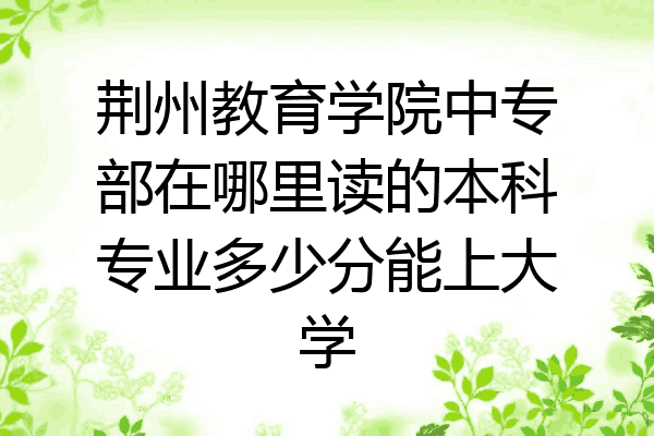 荆州教育学院中专部在哪里读的本科专业多少分能上大学