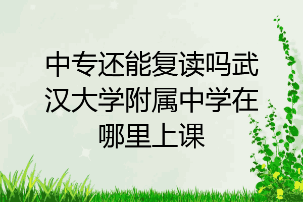 中专还能复读吗武汉大学附属中学在哪里上课