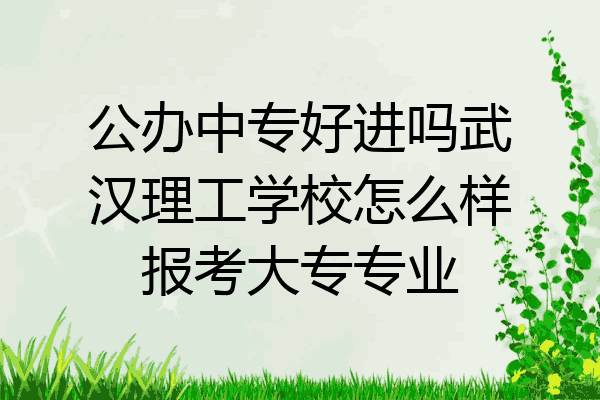 公办中专好进吗武汉理工学校怎么样报考大专专业