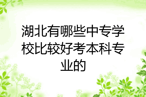 湖北有哪些中专学校比较好考本科专业的