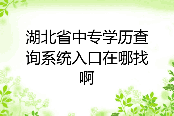 湖北省中专学历查询系统入口在哪找啊